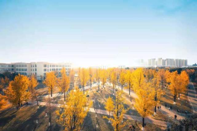 大学专业(大学专业大类) 大学专业(大学专业大类)