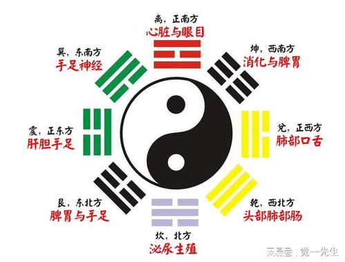 中国易经风水网:中国易经风水网,传承千年智慧,开启现代生活新格局 中国易经风水网:中国易经风水网,传承千年智慧,开启现代生活新格局