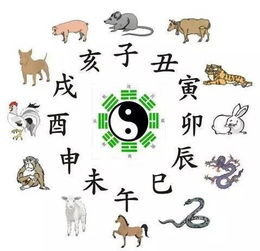 子丑寅卯十二时辰对照表:子丑寅卯十二时辰对照表,中国传统文化中的时间密码