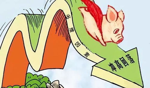 做梦梦到地震顺利逃跑:梦里地震逃生记,一场虚惊,一份启示