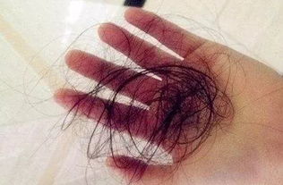 梦见自己头发被别人剪短了：剪短人生，当梦境剥夺我们的发丝