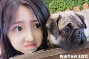 梦见陌生狗很亲近我:梦里遇见陌生的狗,它却对我格外亲近,一场温暖又神秘的梦境之旅