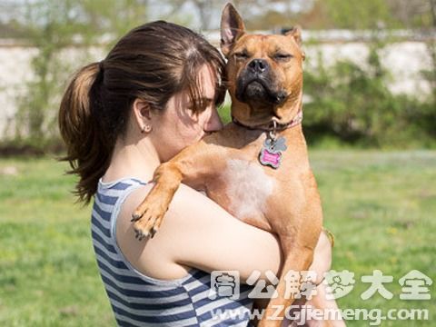 女人梦见狗缠着自己不放:梦里被狗缠住,醒来后我明白了… 女人梦见狗缠着自己不放:梦里被狗缠住,醒来后我明白了…