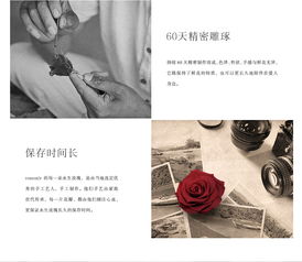 送双子座女的最佳礼物:送双子座女的最佳礼物,激发她探索欲的创意清单 送双子座女的最佳礼物:送双子座女的最佳礼物,激发她探索欲的创意清单