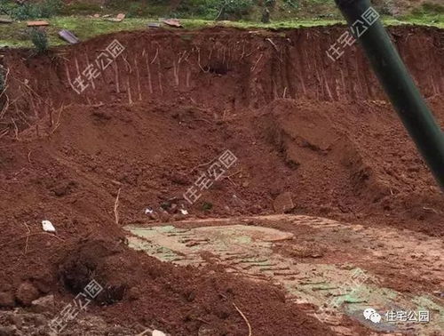 村庄给老人发40万:已连续发了19年 村庄给老人发40万:已连续发了19年