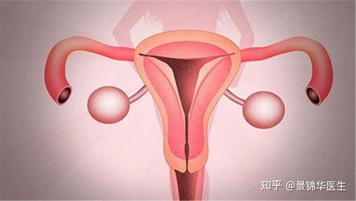 宫颈癌早期10个预兆:警惕!这10个症状可能是宫颈癌早期信号,女性必看!