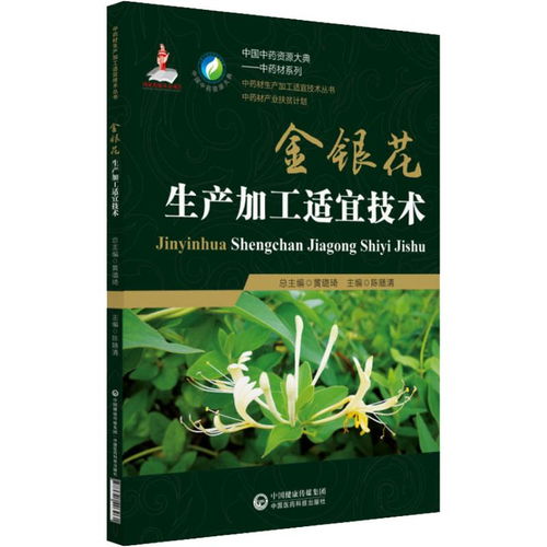 金银花露的书:金银花露,一缕清芬中的爱与痛