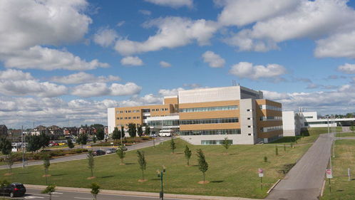 上海比本科还牛的专科学校(上海口碑好的公办大专)