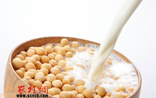 内分泌失调吃什么好:内分泌失调吃什么好?这5类食物帮你调理身体,重拾健康平衡!