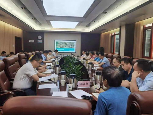 免费测试算命:免费测试算命,探索命运密码的三大惊喜与注意事项