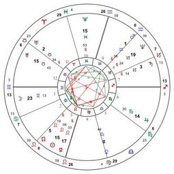 星盘排盘查询:精准定位人生轨迹,星盘排盘查询的科学解读与实用指南