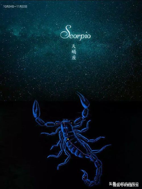 11月21号天蝎座的尾巴：11月21日天蝎座尾巴，暗夜蛰伏的终章与破茧重生的序曲