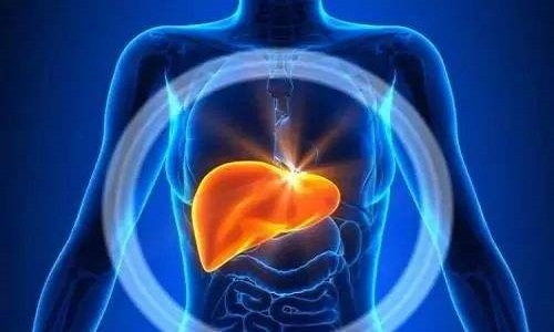 肝病吃什么食物好:肝病吃什么食物好?这些营养修复师请收好! 肝病吃什么食物好:肝病吃什么食物好?这些营养修复师请收好!