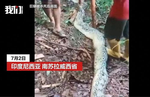 已婚女人梦到被蛇咬:梦里被蛇咬,婚姻危机的警示?