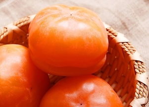 养胃的食物和水果:暖胃养生,从这些食物和水果开始