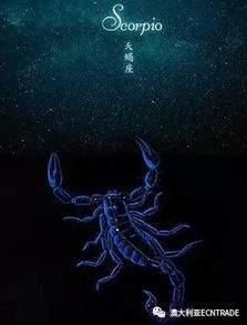 天蝎座女生的性格分析:天蝎座女生,深渊中的星辰,炽烈与隐忍的共生者 天蝎座女生的性格分析:天蝎座女生,深渊中的星辰,炽烈与隐忍的共生者