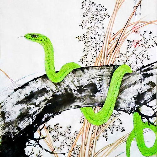 女人梦见蛇缠在自己身上:女人梦见蛇缠在自己身上,潜意识中的恐惧与转化