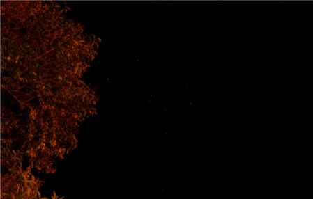 周公解梦梦见亲人离世是什么意思:梦见亲人离世,周公解梦与现代心理学的双重解读