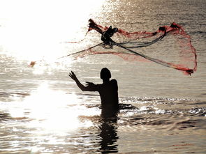 周公解梦大全查询梦见抓鱼是什么意思:梦见抓鱼,周公解梦与现代心理的双重解读