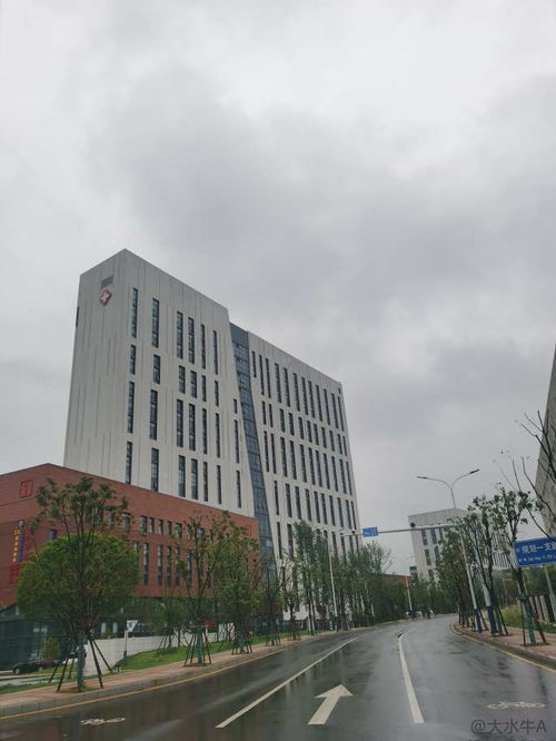 九江学院(九江学院附属医院)