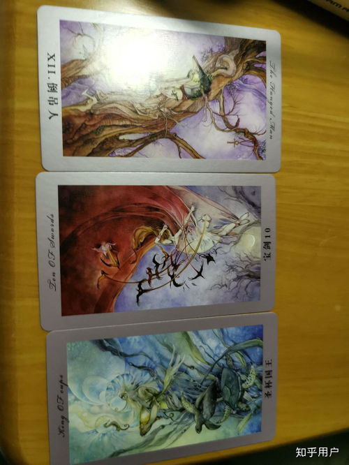 天地塔罗牌和花影塔罗牌:天地玄黄,花影流年—探秘塔罗牌中的两大神秘体系