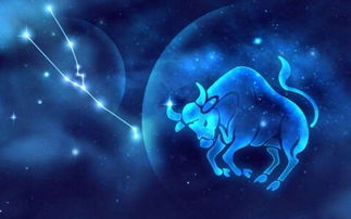 金牛座男生性格特点及脾气:金牛座男生性格特点及脾气解析,固执背后的温柔守护者