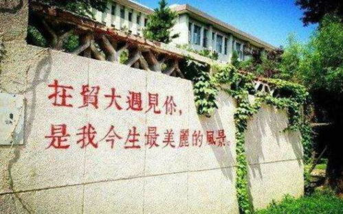 北京对外经济贸易大学(北京对外经济贸易大学在职研究生招生简章)