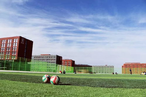 甘肃中医药大学(甘肃中医药大学是一本还是二本)