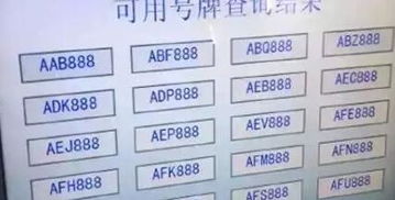 怎么看车牌号码好不好:车牌号码的吉凶玄机与科学解读,从数字学、政策到风水学的多维分析