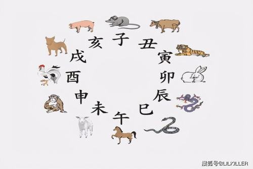 五大生肖不适合戴玉:五大生肖戴玉需谨慎,这五个生肖传统上被认为与玉相冲