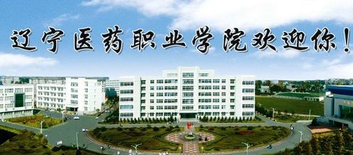 四川单招学校难度排名(四川单招录取率最高的学校)