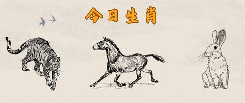 1986年虎2024年运势:1986虎年生肖人2024甲辰龙年运势全解析,吉凶相依,顺势而为 1986年虎2024年运势:1986虎年生肖人2024甲辰龙年运势全解析,吉凶相依,顺势而为