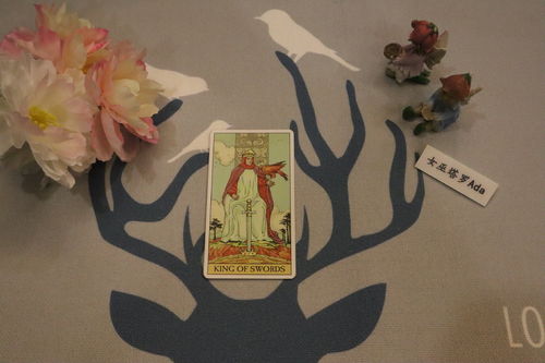 女巫塔罗牌灵知塔罗牌:女巫、塔罗牌与灵知情识,神秘力量的交汇 女巫塔罗牌灵知塔罗牌:女巫、塔罗牌与灵知情识,神秘力量的交汇