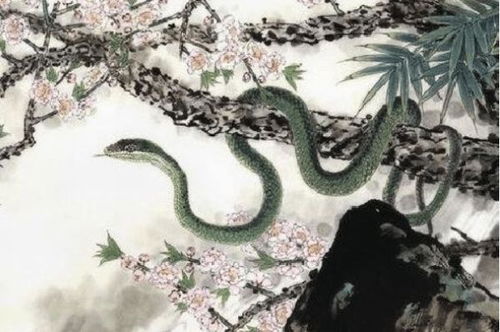 1953年属蛇人的寿命:1953年属蛇人的长寿密码,传统命理与现代养生的双重启示 1953年属蛇人的寿命:1953年属蛇人的长寿密码,传统命理与现代养生的双重启示