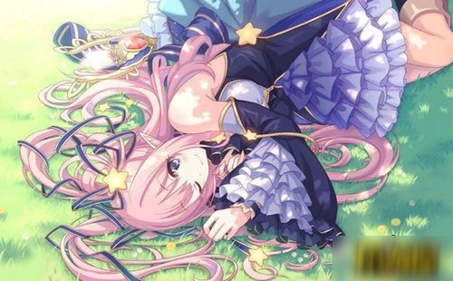 十二星座专属灵族公主:星穹十二夜,十二星座灵族公主的宿命诗篇 十二星座专属灵族公主:星穹十二夜,十二星座灵族公主的宿命诗篇