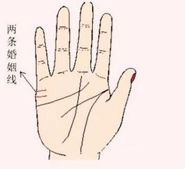 女人手相图解:女人手相图解,从掌纹到命运,解锁你的专属人生密码 女人手相图解:女人手相图解,从掌纹到命运,解锁你的专属人生密码