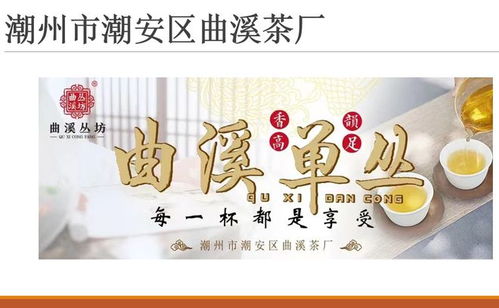 2月7日是什么节日:2月7日,全球多个国家的特色节日与纪念日