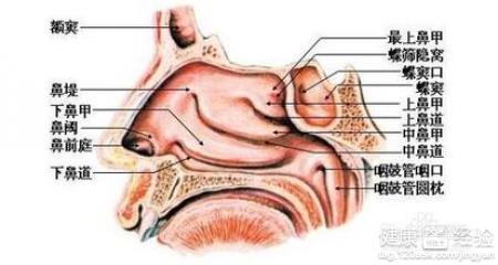 一般鼻炎几年会癌变:鼻炎与鼻咽癌,了解风险与预防措施