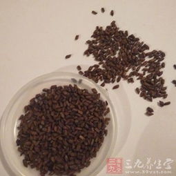 决明子的功效与作用及食用方法:决明子,神奇的中药,你知道它的功效与作用及食用方法吗? 决明子的功效与作用及食用方法:决明子,神奇的中药,你知道它的功效与作用及食用方法吗?