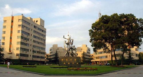 上海人最看不起的大学(上海人最看不起的大学生)