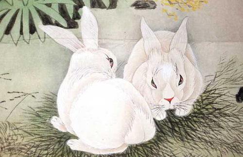 1999年属什么生肖属相:1999年出生属兔,生肖文化与命运解读 1999年属什么生肖属相:1999年出生属兔,生肖文化与命运解读