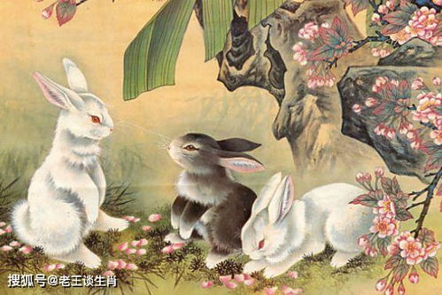 75年属兔人三大坎:75年属兔人必须警惕的三大关卡,命理提醒的转折年份与破局之道