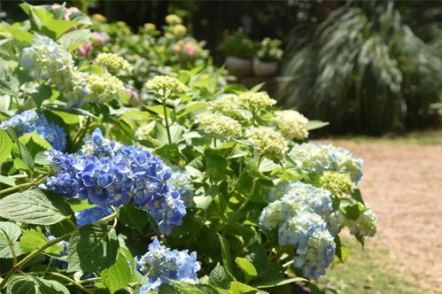 威海测姻缘的地方叫什么:威海测姻缘的地方叫什么?这些地方让你的爱情更有缘!