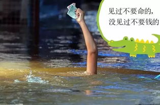 为属兔男孩有水有草的名字:属兔男孩起名指南,以水草之名寄寓诗意栖居 为属兔男孩有水有草的名字:属兔男孩起名指南,以水草之名寄寓诗意栖居