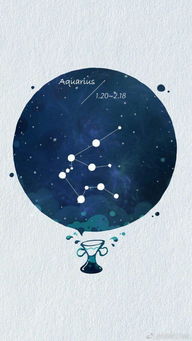 水瓶座的绝配伴侣:灵魂共振的默契搭档,解码水瓶座最契合的伴侣类型 水瓶座的绝配伴侣:灵魂共振的默契搭档,解码水瓶座最契合的伴侣类型