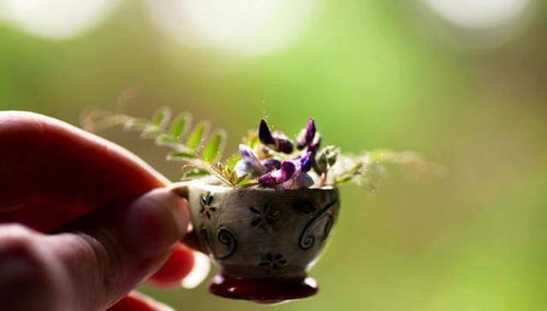 双子座开始走心的表现:从风象到心象,双子座开始走心的五个关键信号 双子座开始走心的表现:从风象到心象,双子座开始走心的五个关键信号