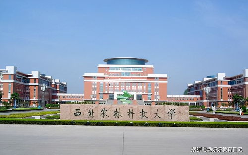 渭职院属于什么档次(渭职院属于什么档次的学校) 渭职院属于什么档次(渭职院属于什么档次的学校)