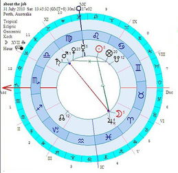 星座宫位:星座宫位,占星学中的时空密码与人生坐标 星座宫位:星座宫位,占星学中的时空密码与人生坐标