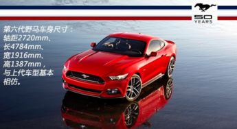 野马追糖浆的功效与作用:野马追糖浆,传统与现代的健康守护者,功效与作用全解析 野马追糖浆的功效与作用:野马追糖浆,传统与现代的健康守护者,功效与作用全解析