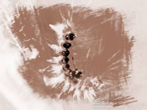 男人梦见很多条蛇:男人梦见很多条蛇,潜意识中的隐藏信息与心理启示 男人梦见很多条蛇:男人梦见很多条蛇,潜意识中的隐藏信息与心理启示